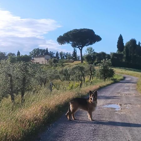 Casale La Giara Daire Sorrezzana Dış mekan fotoğraf