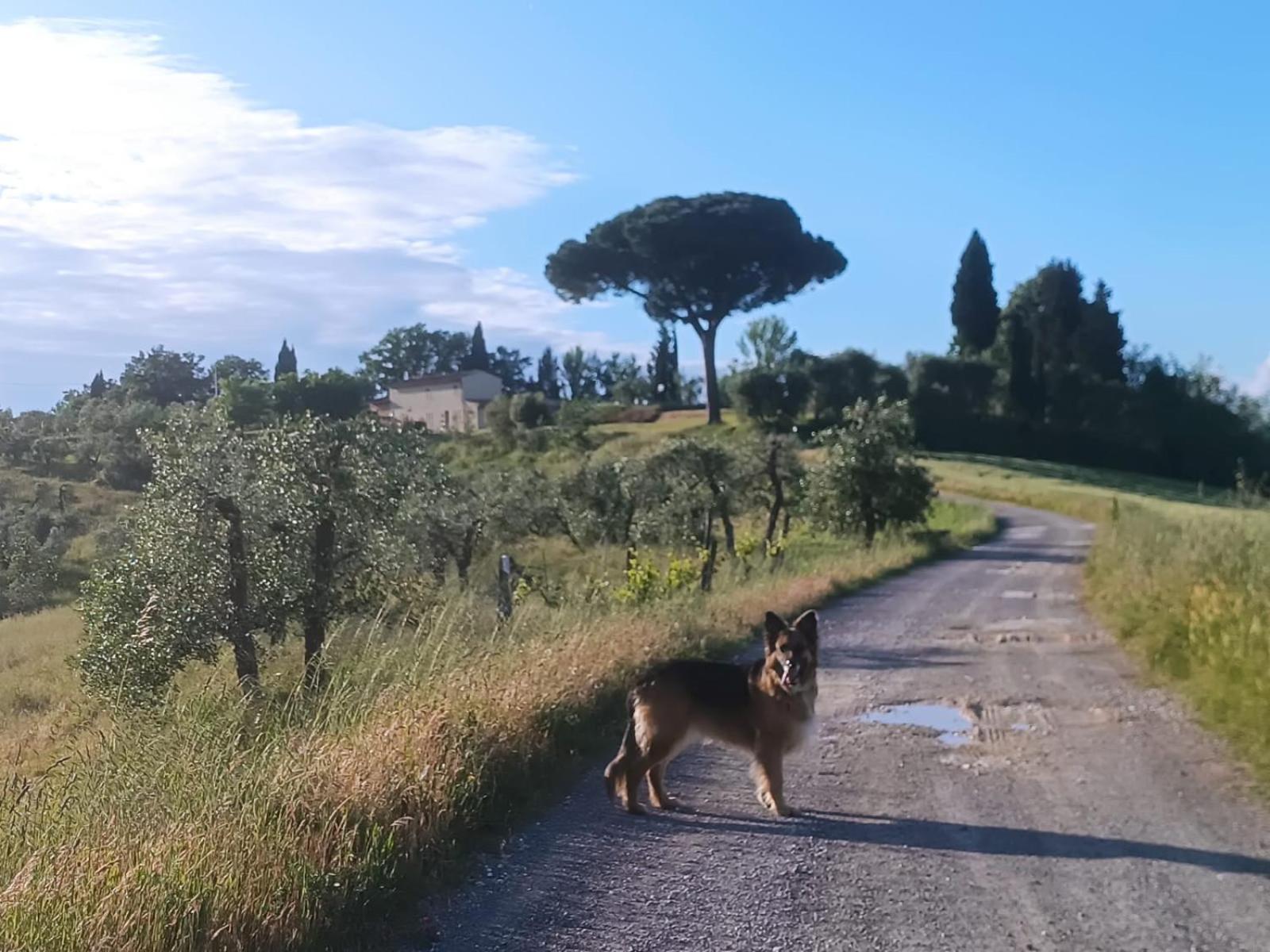Casale La Giara Daire Sorrezzana Dış mekan fotoğraf